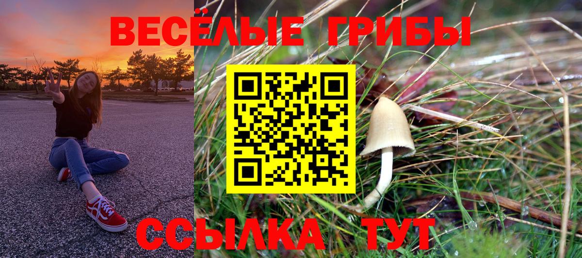 Мефедрон   Кандалакша  Вход с VPN  Конопля  ГАШ  Гашиш 