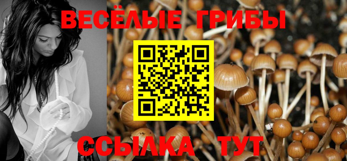 Галлюциногенные грибы прущие грибы  как найти закладки  Вход с VPN  Кандалакша  Галлюциногенные грибы GOLDEN TEACHER 